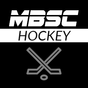 Hockey Performance logo