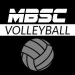 12 Week Volleyball Program logo