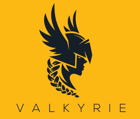 The Valkyrie logo