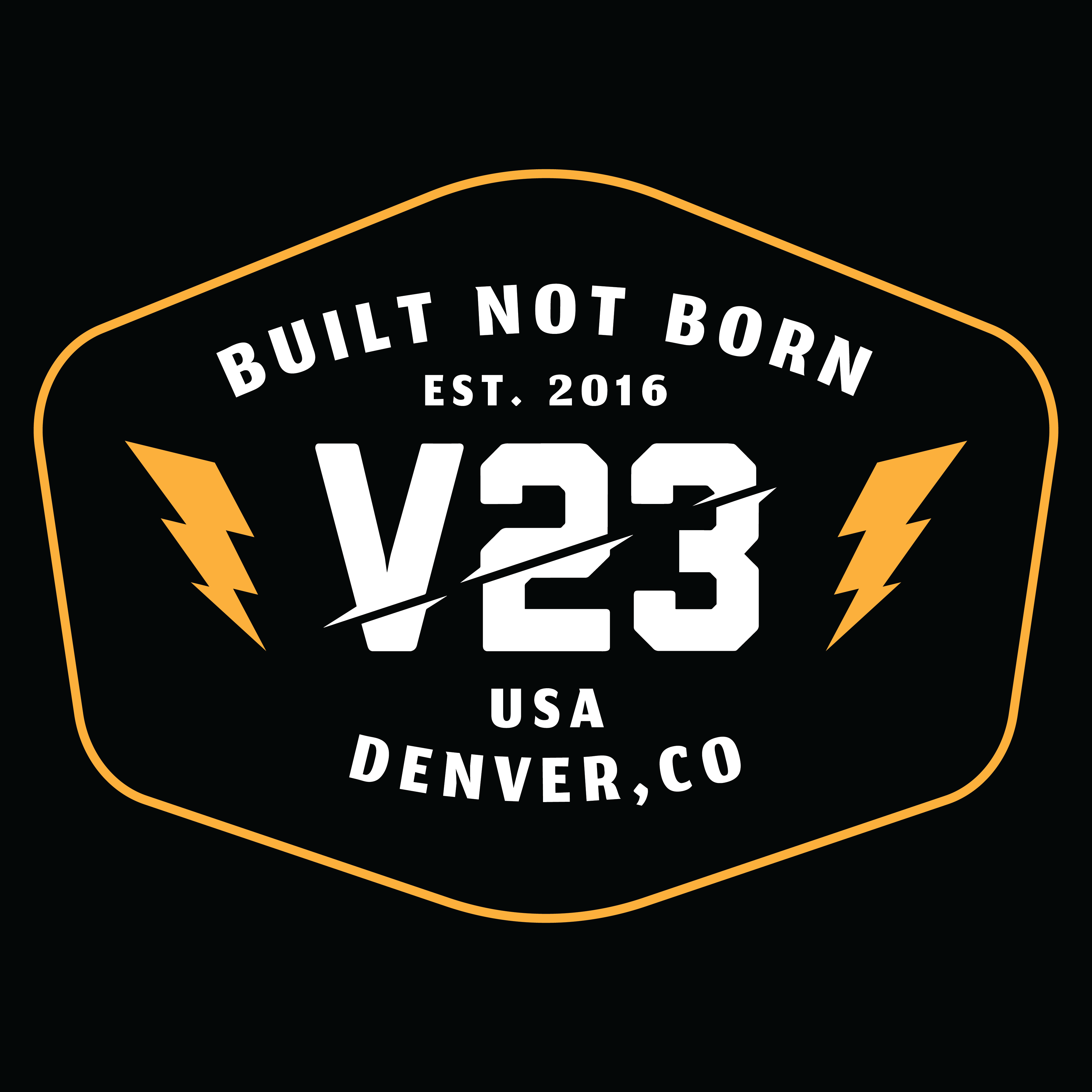 V23BUILD logo